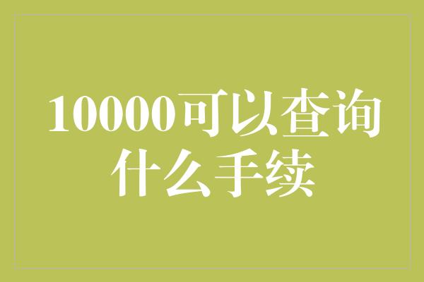 10000可以查询什么手续