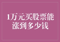 1万元投资股票：潜在收益与风险剖析