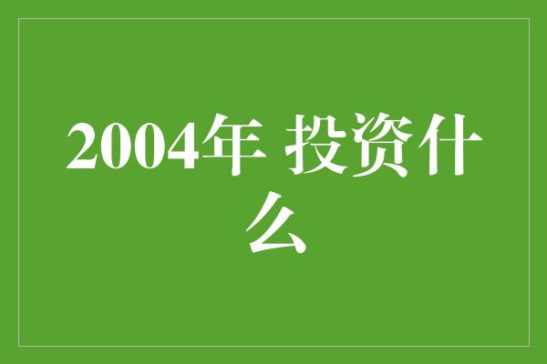 2004年 投资什么