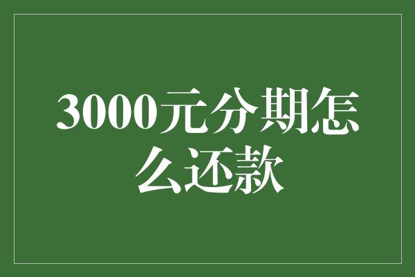 3000元分期怎么还款