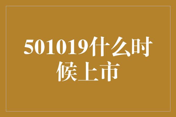 501019什么时候上市