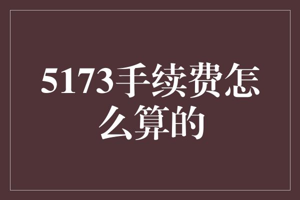 5173手续费怎么算的