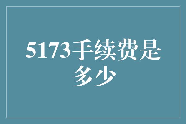 5173手续费是多少