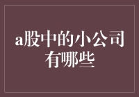 小而美的A股：探索那些可能被忽视的宝藏公司