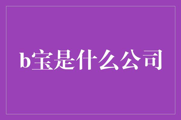 b宝是什么公司