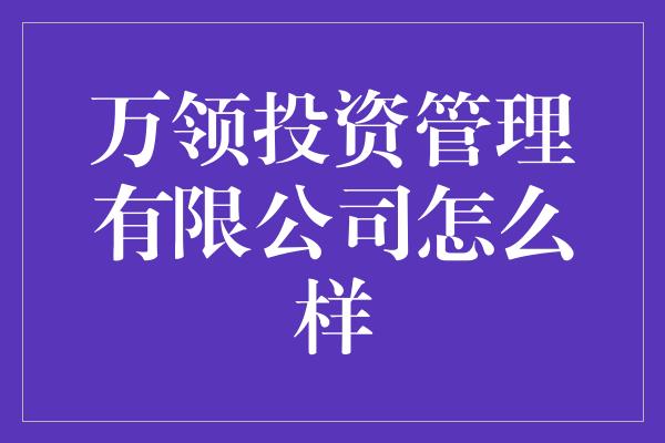 万领投资管理有限公司怎么样