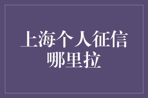 上海个人征信哪里拉