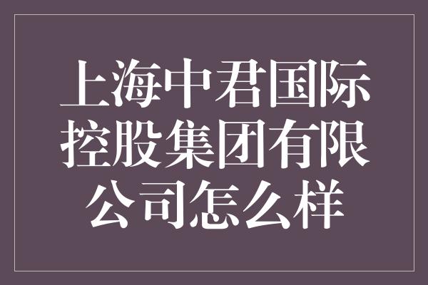 上海中君国际控股集团有限公司怎么样