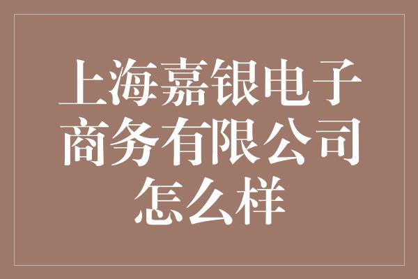 上海嘉银电子商务有限公司怎么样