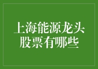 上海能源龙头股票概览：把握能源转型的投资机遇