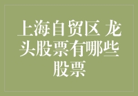 上海自贸区龙头股票：把握改革红利释放的投资机遇