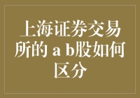 上海证券交易所有趣指南：如何区分A股和B股