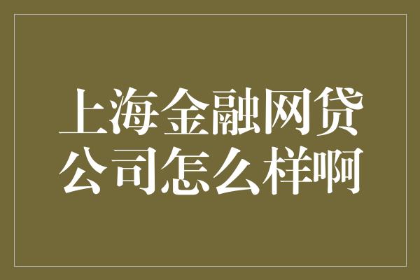 上海金融网贷公司怎么样啊