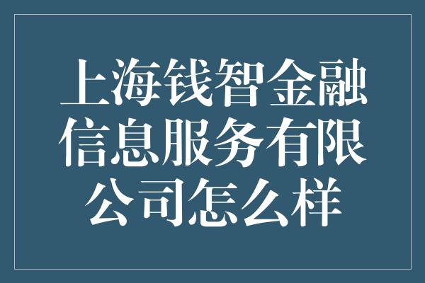 上海钱智金融信息服务有限公司怎么样