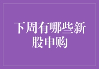 下周新股申购一览：把握市场脉搏，挖掘潜在投资机会