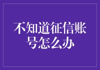 征信账号管理：构建个人信用的基石