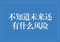 未知未来：风险预警与对策分析