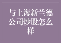 上海新兰德公司炒股：专业视角与深度分析并重