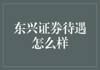 东兴证券待遇怎么样：深度解析券商行业待遇与职业前景