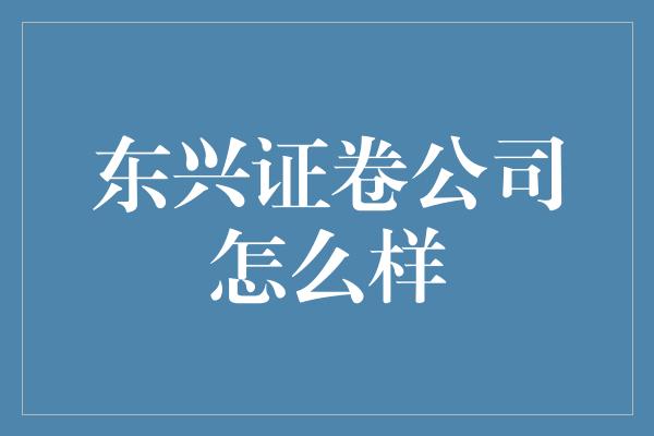 东兴证卷公司怎么样