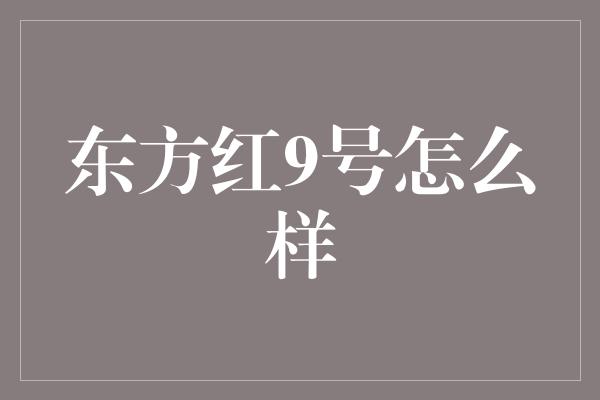 东方红9号怎么样