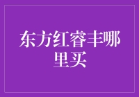 东方红睿丰的购买渠道：专业投资者的优选投资工具解析