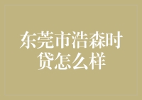 东莞市浩森时贷：你人生中不可或缺的搜肠刮肚小伙伴？