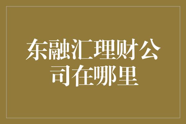 东融汇理财公司在哪里