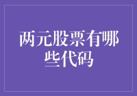 探索两元股票代码：市场中的秘密宝藏