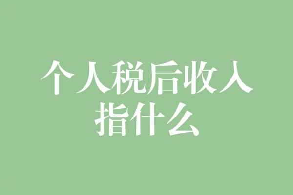 个人税后收入指什么