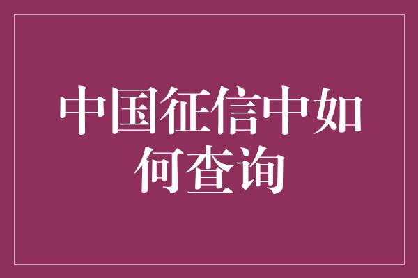 中国征信中如何查询