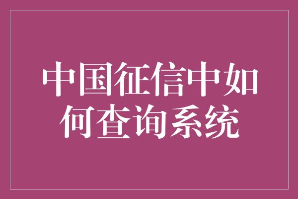 中国征信中如何查询系统