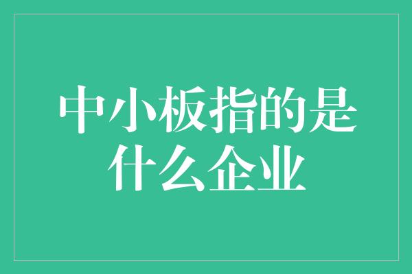 中小板指的是什么企业