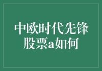 中欧时代先锋股票A风险几何？