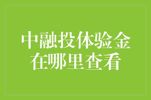 中融投体验金在哪里查看