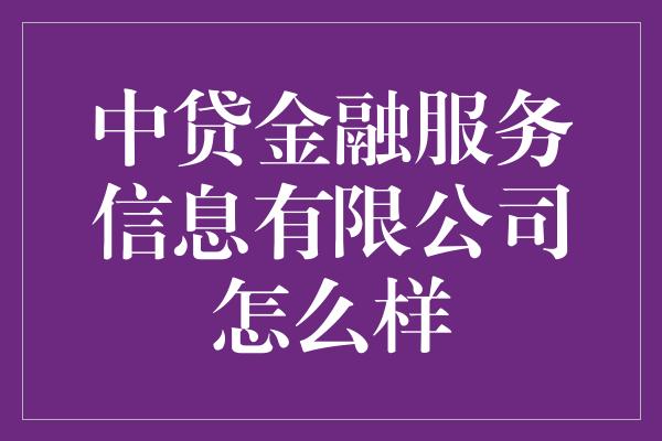 中贷金融服务信息有限公司怎么样