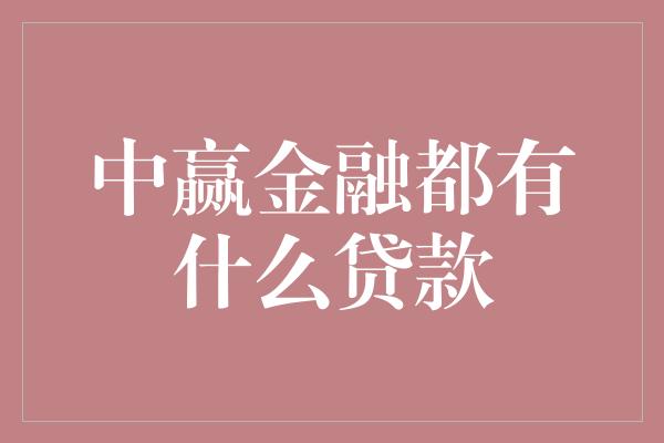 中赢金融都有什么贷款