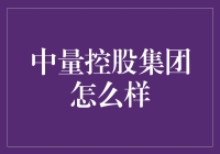 中量控股集团：引领科技创新，助力产业腾飞