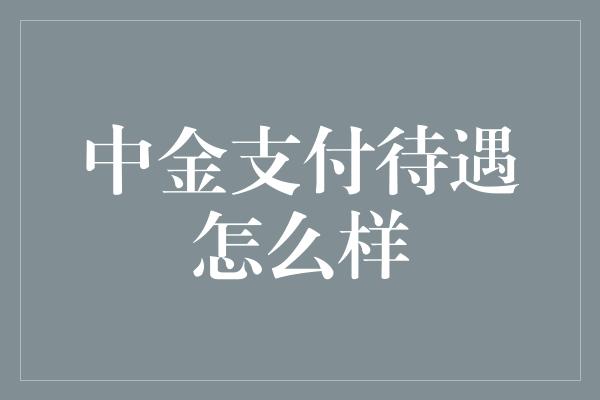 中金支付待遇怎么样