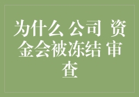 为什么公司资金会被冻结和审查：一场荒诞的冒险之旅