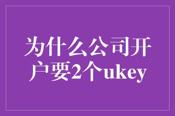 为什么公司开户要2个ukey