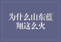 山东蓝翔：从托梦的神一般的存在到绝活多多的网红校