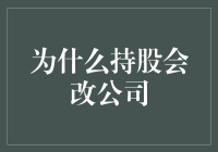 为什么持股会突然要改头换面变成公司了？