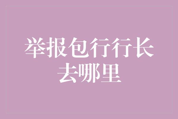 举报包行行长去哪里