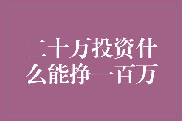 二十万投资什么能挣一百万