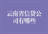 云南省信贷公司概览与发展策略