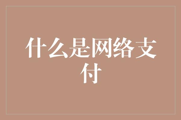 什么是网络支付