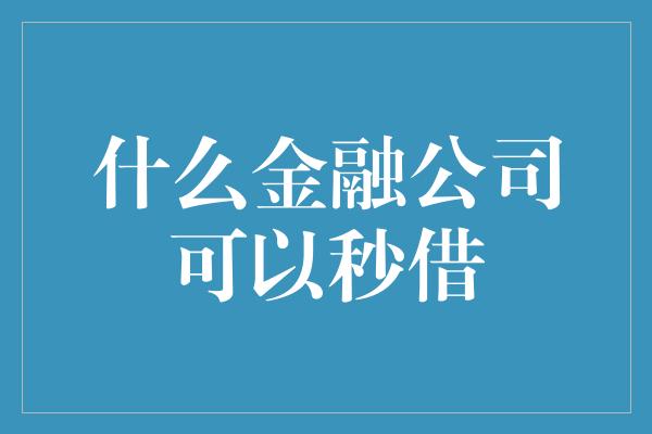 什么金融公司可以秒借