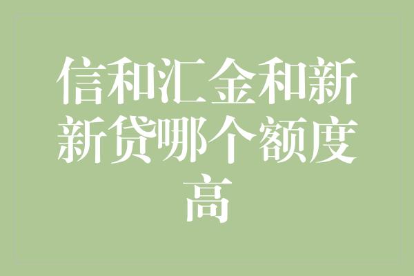 信和汇金和新新贷哪个额度高