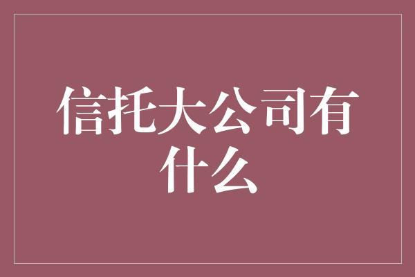 信托大公司有什么